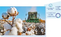 中国棉花：稳产销 树尺度