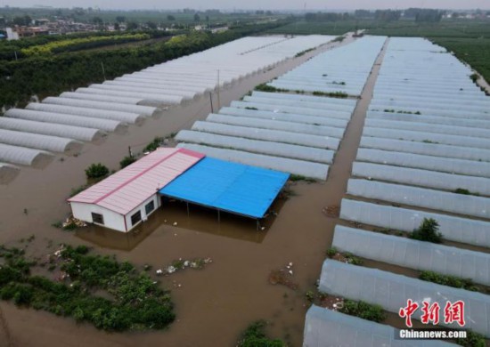 农业农村部派专家组赴河南河北指导灾后农业出产规复