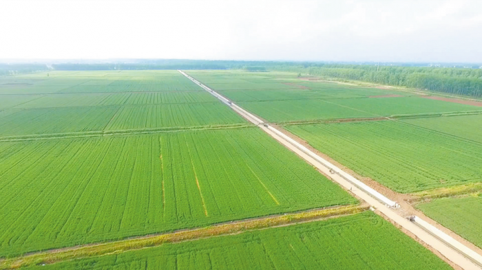 宝应县获评“2021年度省级耕地呵护勉励单位”的背后