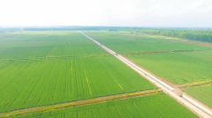 宝应县获评“2021年度省级耕地掩护鼓励单元”的背后